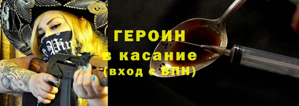 сатива Бородино
