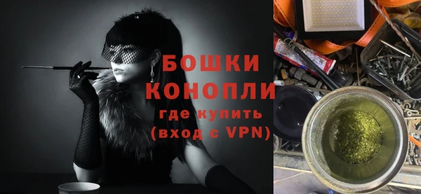 ECSTASY Богородск