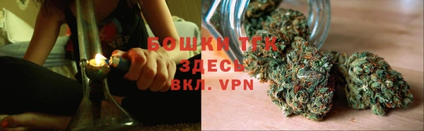 ECSTASY Богородск