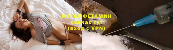 сатива Бородино