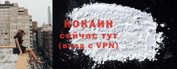сатива Бородино