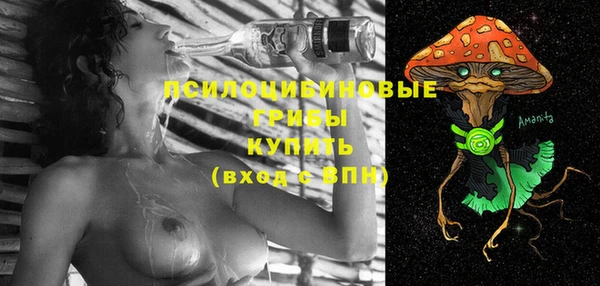 ГАЛЛЮЦИНОГЕННЫЕ ГРИБЫ Бронницы
