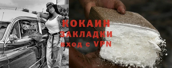 сатива Бородино