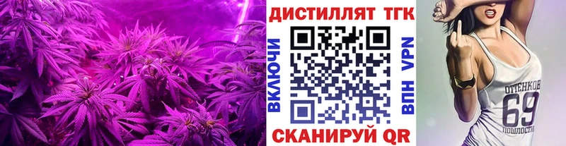 Купить где  Гвардейск  ТГК THC oil 