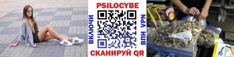 Галлюциногенные грибы мухоморы  Купить закладки  Гвардейск 